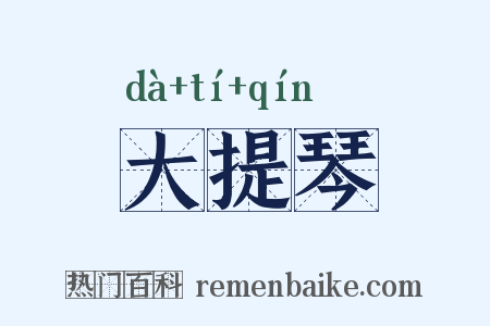 大提琴是什么意思的图片